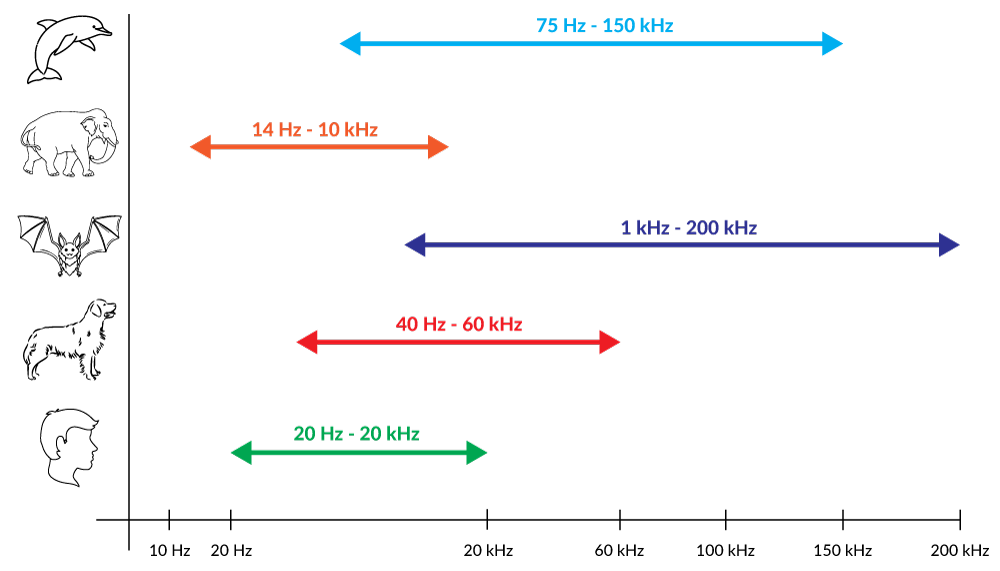 Obr. 2. Frekvenčný rozsah sluchu zvierat v porovnaní s človekom